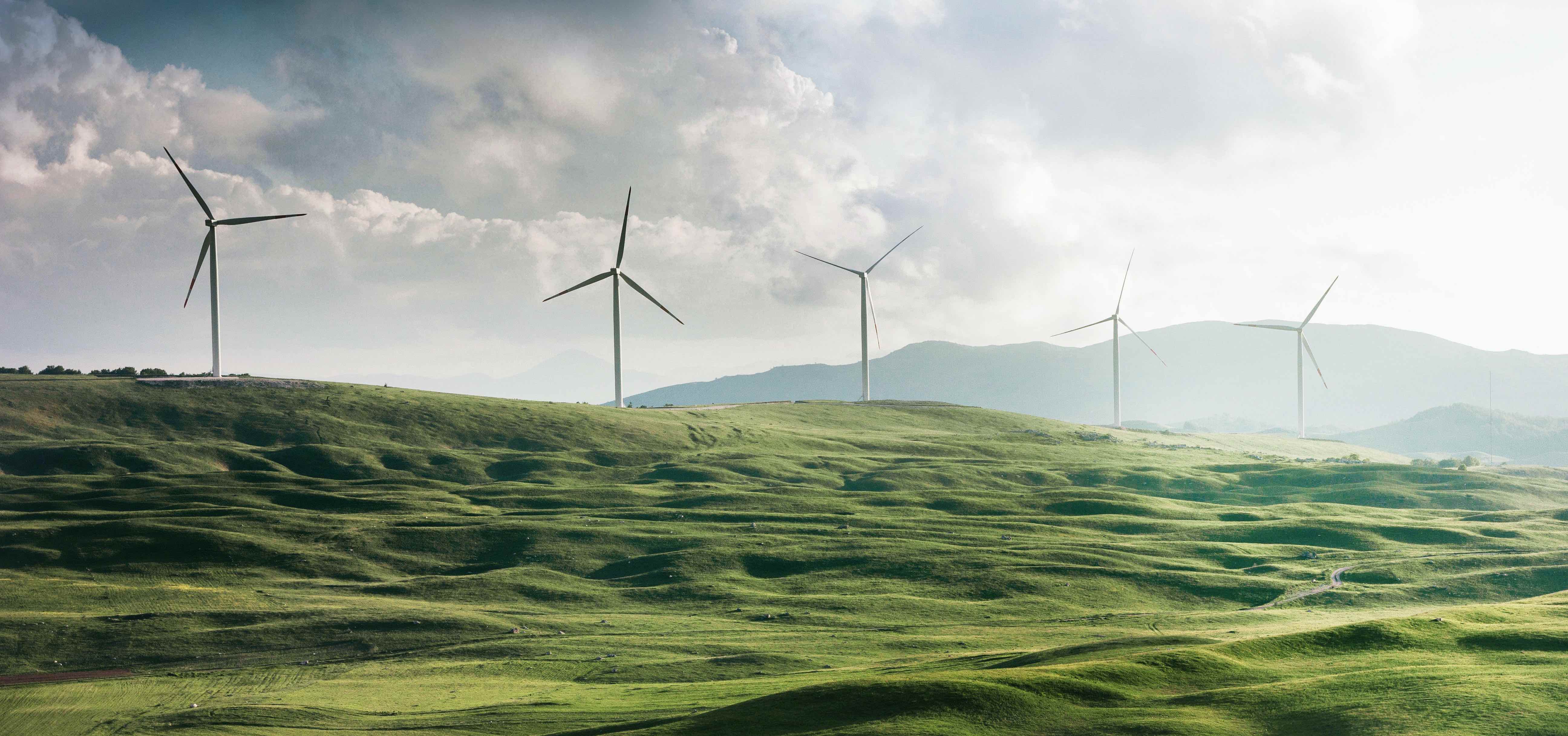 Landschaft mit grünen Wiesen und Windrädern